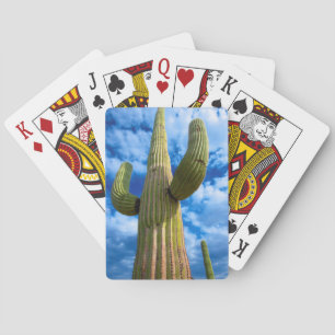 Baraja De Cartas Retrato del cactus del Saguaro, Arizona