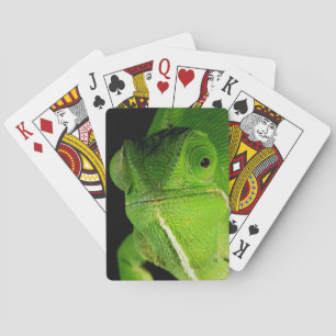 Baraja De Cartas Retrato del camaleón de cuello con solapa