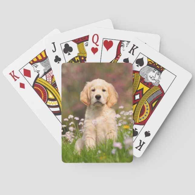 Baraja De Cartas Retrato fotográfico de Perro Perro Perro Perrito - (Reverso)
