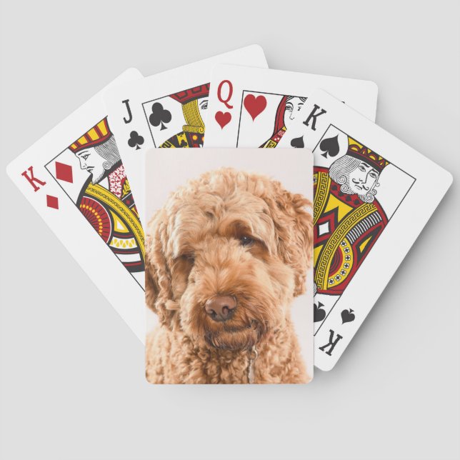 Baraja De Cartas Retrato Goldendoodle Studio (Reverso)