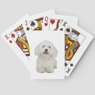 Baraja De Cartas Retrato maltés