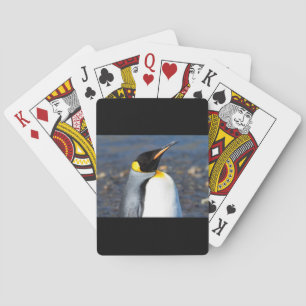 Baraja De Cartas Retrato pingüino