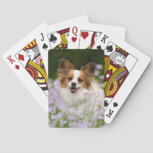 Baraja De Cartas Retrato romántico lindo del perro de Papillon,