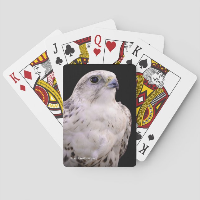 Baraja De Cartas Retrato visto de un inquisitivo Halcón (Reverso)