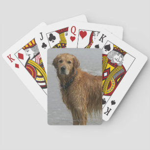 Baraja De Cartas Retreiver de oro en el mar