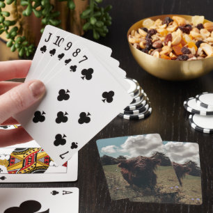Baraja De Cartas Retro vintage de vacas de raza negra escocesa