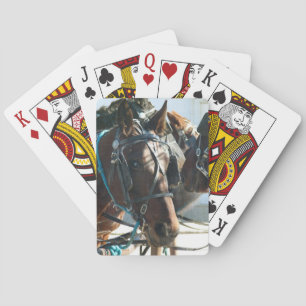 Baraja De Cartas Reunión en el ayuntamiento Caballos Amish Buggy