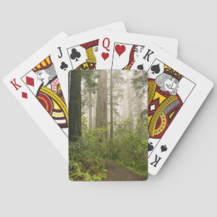Baraja De Cartas Rhododendron floreciendo entre las secuoyas coster