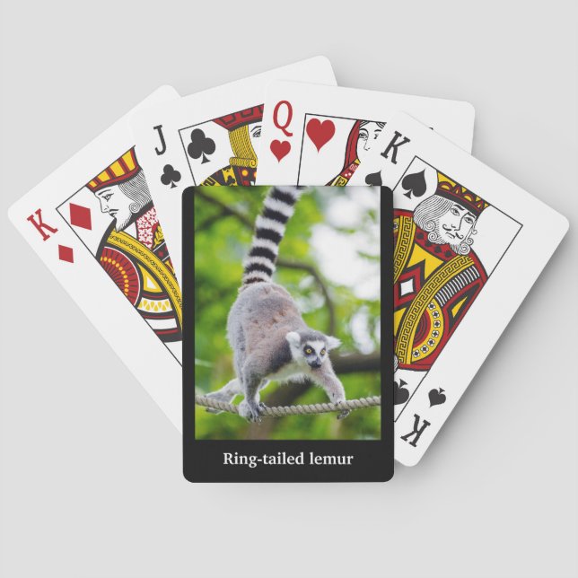 Baraja De Cartas Ring-tailed lemur (Reverso)