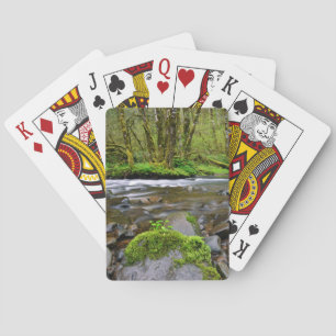 Baraja De Cartas Río en bosque verde, Oregón