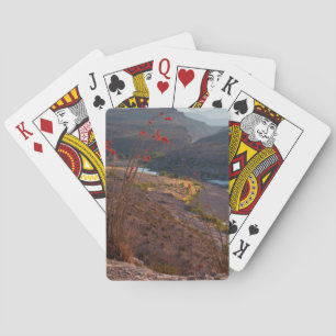 Baraja De Cartas Río Grande atravesando el desierto de Chihuahuan