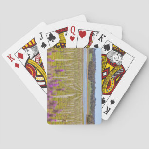 Baraja De Cartas Río Margaret, Australia Occidental