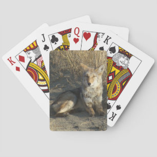 Baraja De Cartas RN19 Coyote Laying