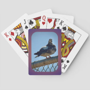 Baraja De Cartas Rock Pigeon