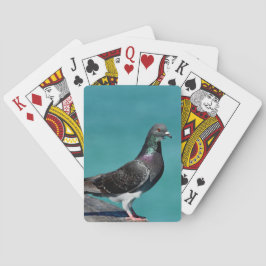 Baraja De Cartas Rock Pigeon