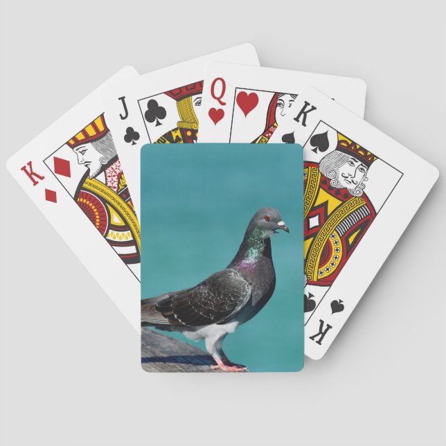 Baraja De Cartas Rock Pigeon (Reverso)