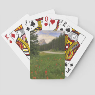Baraja De Cartas Rockies de Canadá