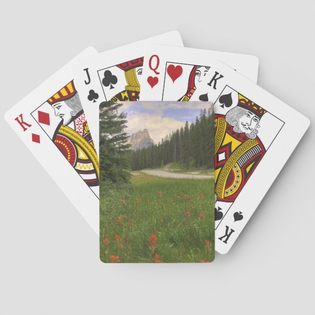 Baraja De Cartas Rockies de Canadá (Reverso)