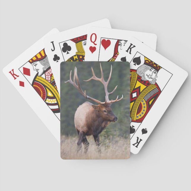 Baraja De Cartas Rocky Mountain Elk (Reverso)