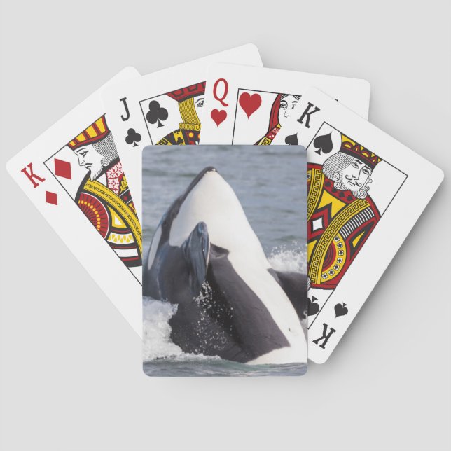 Baraja De Cartas Rompecabezas de ballena orca (Reverso)