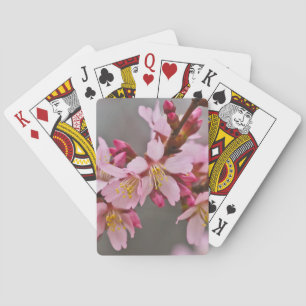 Baraja De Cartas Rosa Contra Un Cielo Gris Flor De Cerezo Japonesa