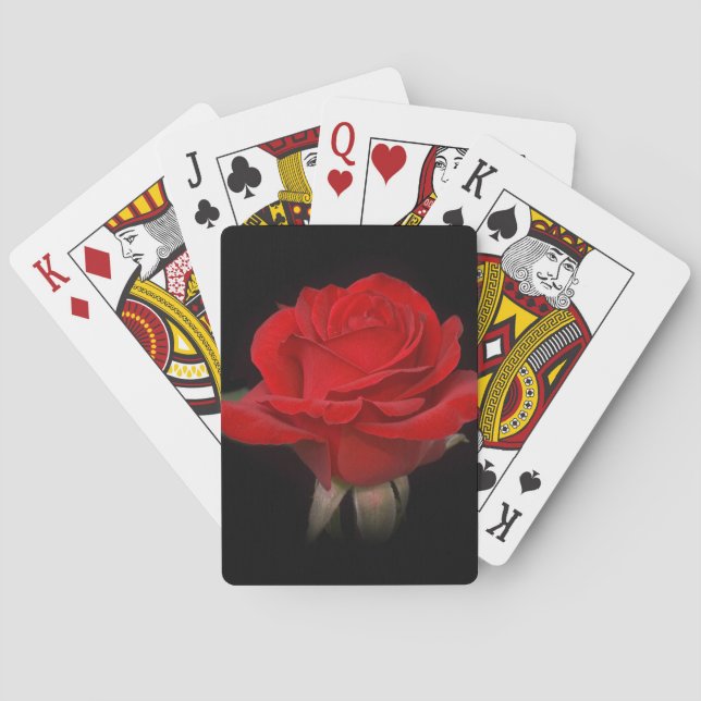 Baraja De Cartas Rosa Roja (Reverso)