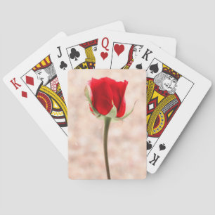 Baraja De Cartas Rosa Roja