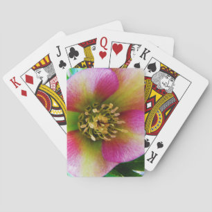 Baraja De Cartas Rosa rosa de Cuaresma,
