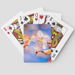Baraja De Cartas Rosa Sakura Flower Blue Sky