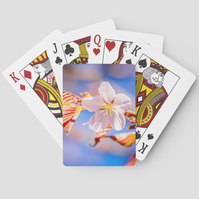 Baraja De Cartas Rosa Sakura Flower Blue Sky (Reverso)