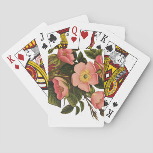 Baraja De Cartas Rosas de época bello botánico rosado