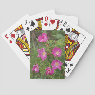 Baraja De Cartas Rosas silvestres F46