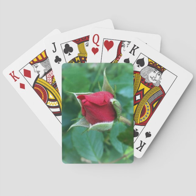 Baraja De Cartas rosebudo rojo (Reverso)