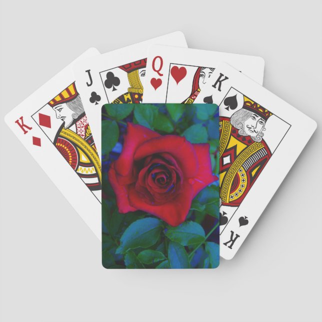 Baraja De Cartas Roses rojos con tonos azules (Reverso)