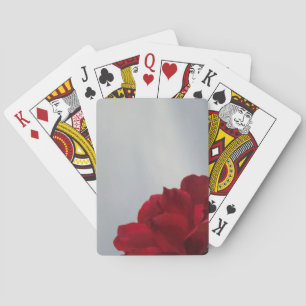 Baraja De Cartas Roses rojos contra un brillante cielo azul