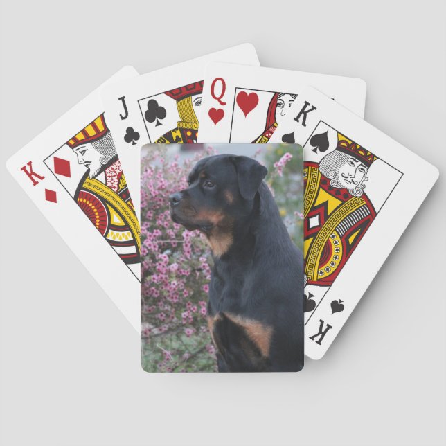 Baraja De Cartas Rottweiler (Reverso)