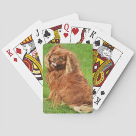 Baraja De Cartas Ruby Cavalier King Charles Spaniel Dog