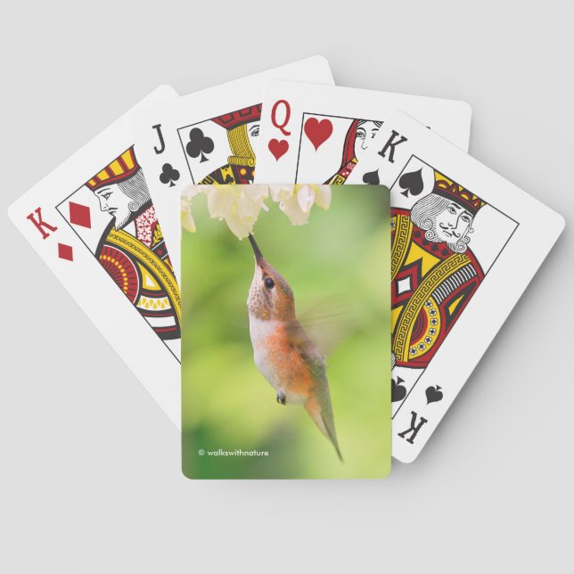Baraja De Cartas Rufous Hummingbird Sips Blueberry Blossom Néctar (Reverso)