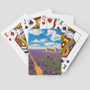 Baraja De Cartas Ruina en campo de lavanda, Francia