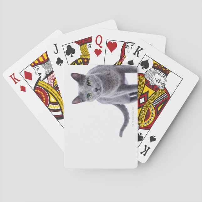 Baraja De Cartas Russian Blue Cat (Reverso)