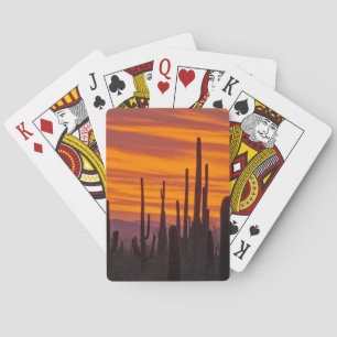 Baraja De Cartas Saguaro, puesta del sol, Parque Nacional Saguaro
