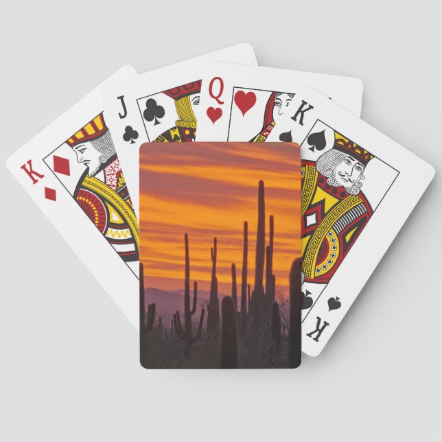 Baraja De Cartas Saguaro, puesta del sol, Parque Nacional Saguaro (Reverso)