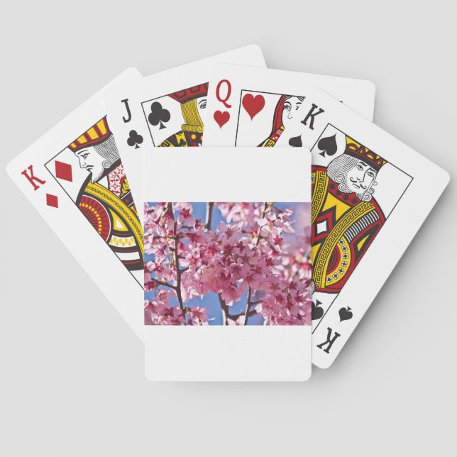 Baraja De Cartas Sakura cerezos florecen estrellas rojas (Reverso)