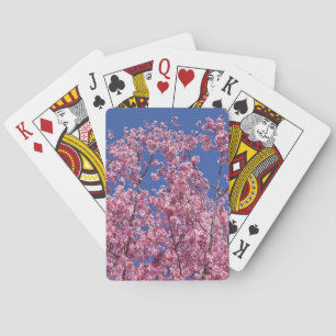 Baraja De Cartas Sakura Flor de Cerezo en el Azul