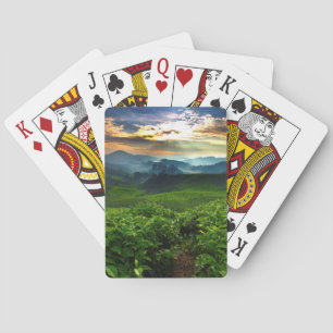 Baraja De Cartas Salida del sol sobre granja del té
