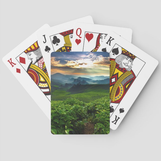 Baraja De Cartas Salida del sol sobre granja del té (Reverso)