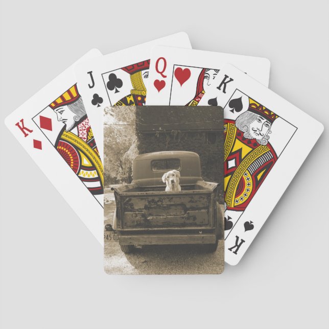 Baraja De Cartas Salir de Dodge - Fotografía de perro (Reverso)