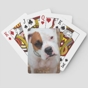 Baraja De Cartas Salto