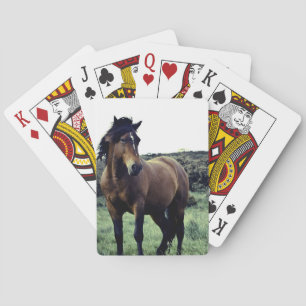 Baraja De Cartas Salvaje Mustang Deck of Cards