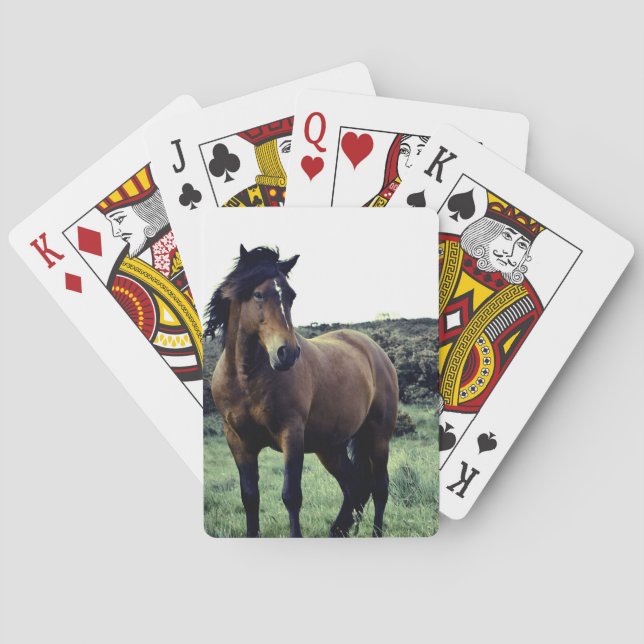 Baraja De Cartas Salvaje Mustang Deck of Cards (Reverso)